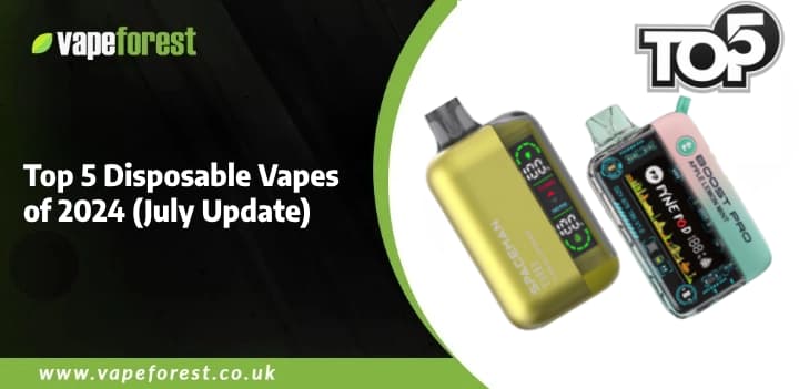 Top 5 Disposable Vapes of 2024 (July Update)