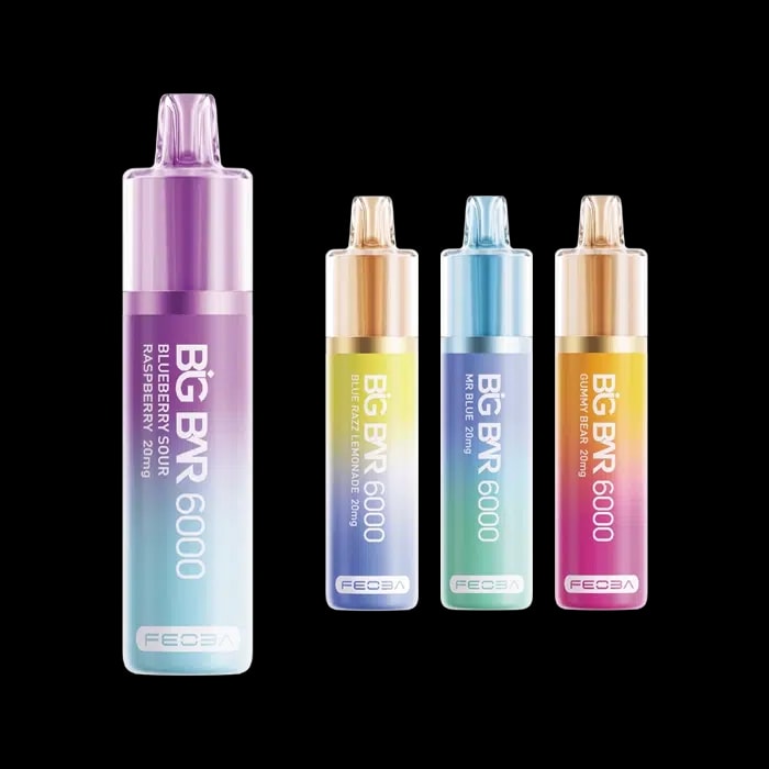 Feoba Big Bar 6000 Disposable Vape Main